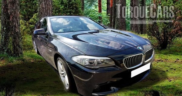 download BMW 518i FSM able workshop manual