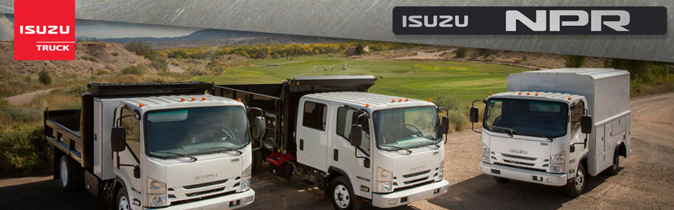 download ISUZU N Truck workshop manual