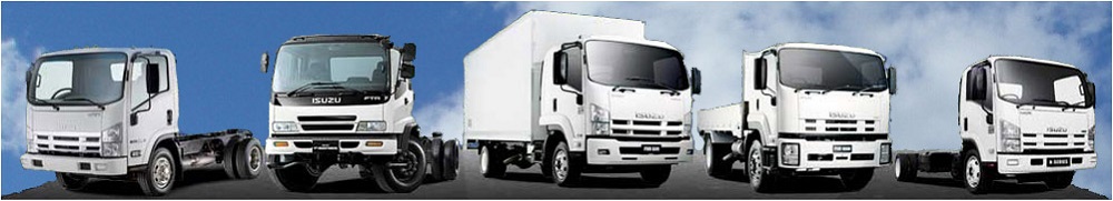 download Isuzu Commercial Truck NPR NPR HD NQR NRR W3500 W4500 W5500 W5500HD 20 workshop manual