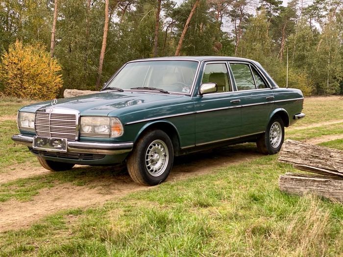 download Mercedes 280 E able workshop manual